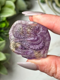 Ametrine Dragon - #3