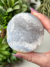 Druzy Blue Lace Agate Sphere - #8