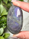 Labradorite Palmstone - #14