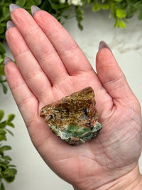 Raw Blue Opalized Petrified Wood - #14