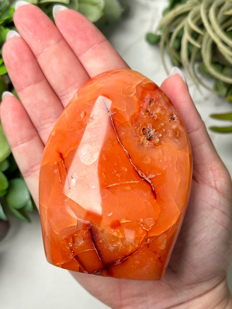 Carnelian Freeform - #19