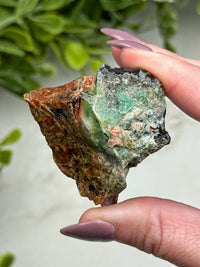 Raw Blue Opalized Petrified Wood - #14