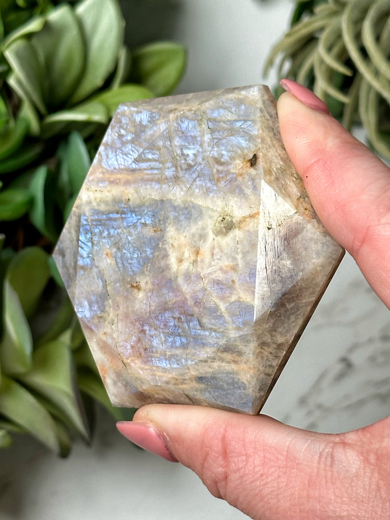 Moonstone with Sunstone Hexagon - #9