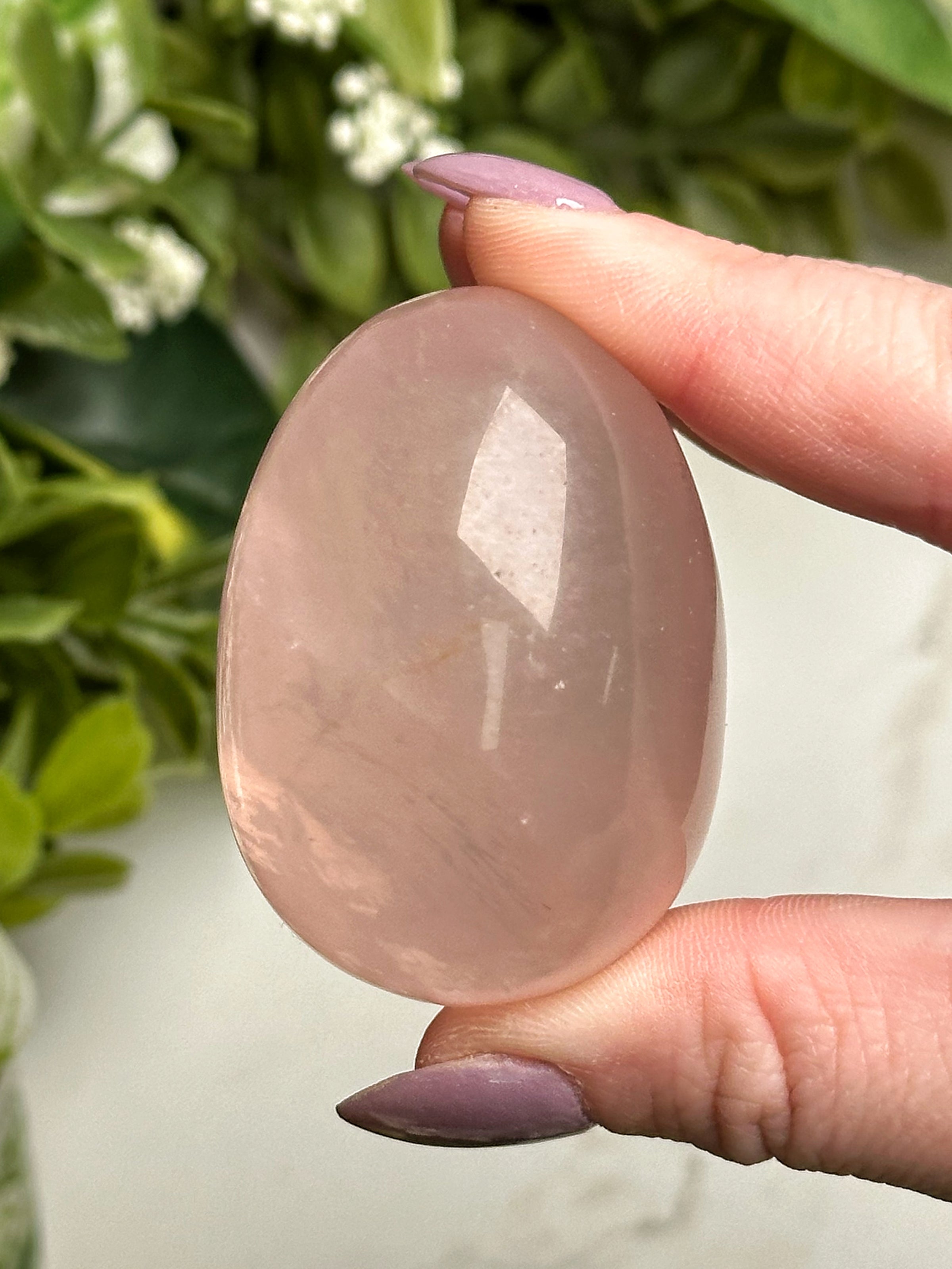 Star Rose Quartz Egg - #2