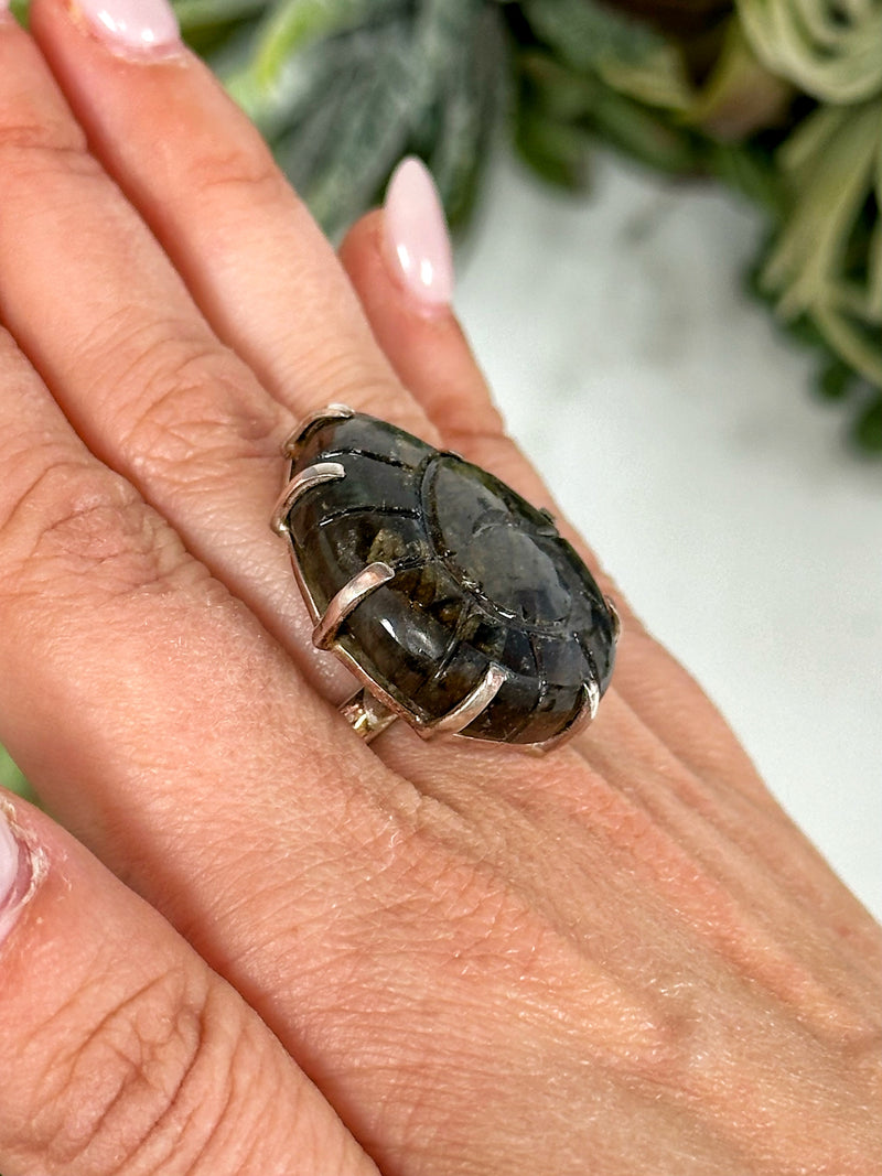 Labradorite Shaped into Ammonite Ring - #1