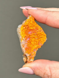 Magma Chalcedony Dragon - #1