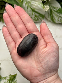 Fluorite with Pyrite Palmstone - #8