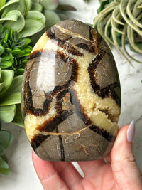 Septarian Freeform - #16