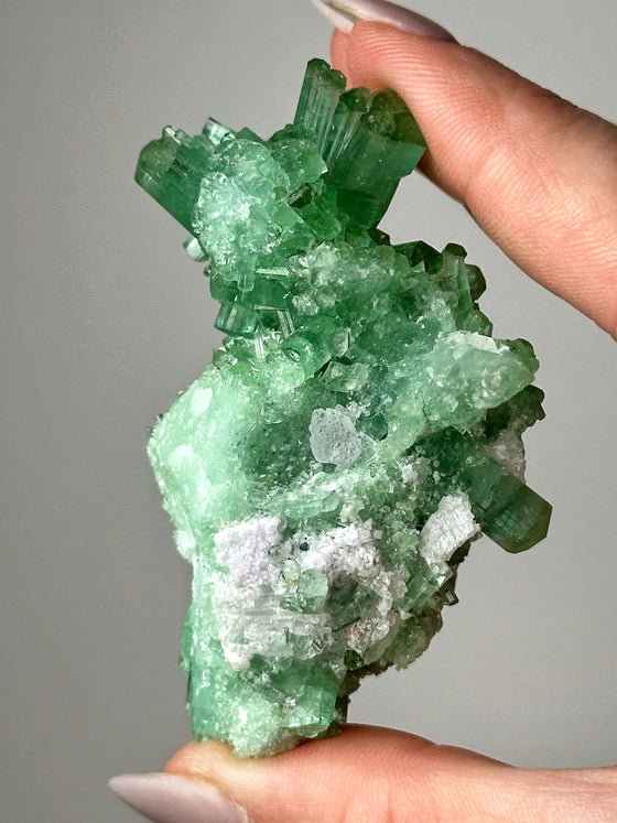 Green Tourmaline with Kunzite Specimen - #6