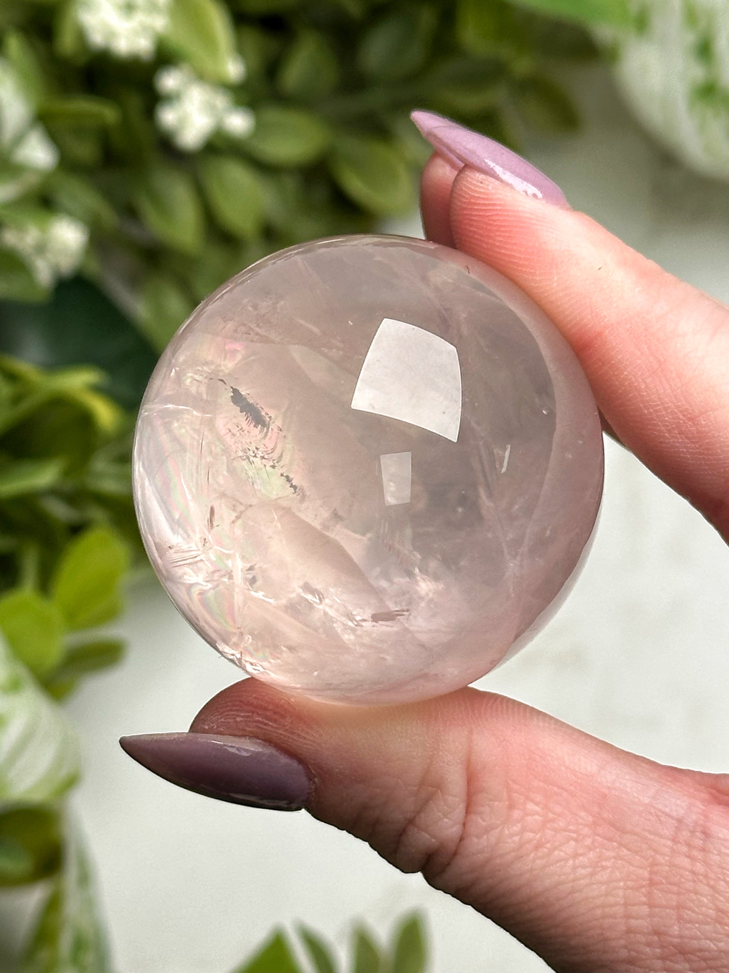 Star Rose Quartz Sphere - #15