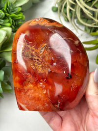 Carnelian Freeform - #14
