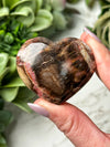 Petrified Wood Heart - #17