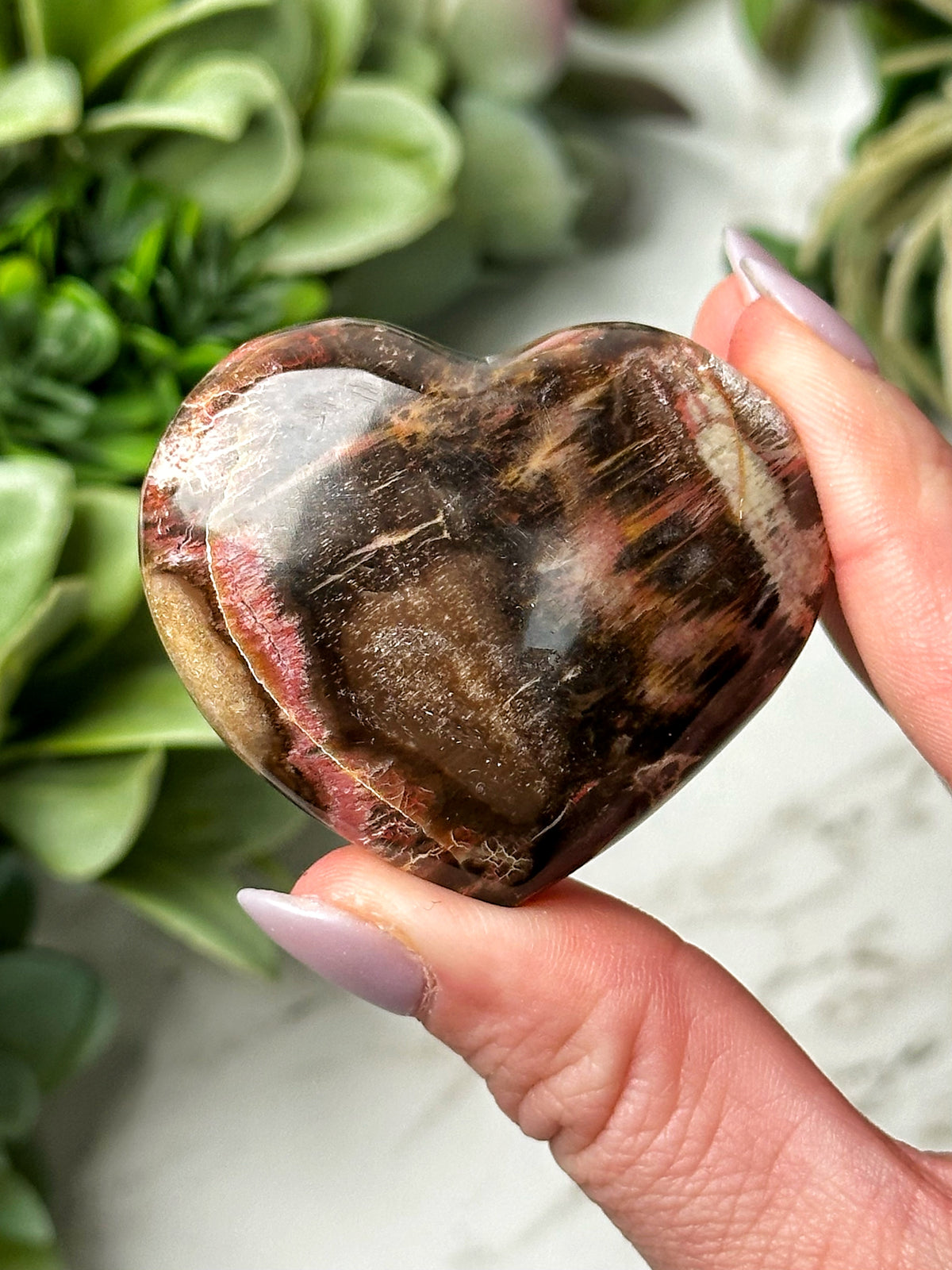 Petrified Wood Heart - #17