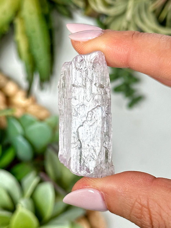 Gemmy Kunzite Specimen - #3