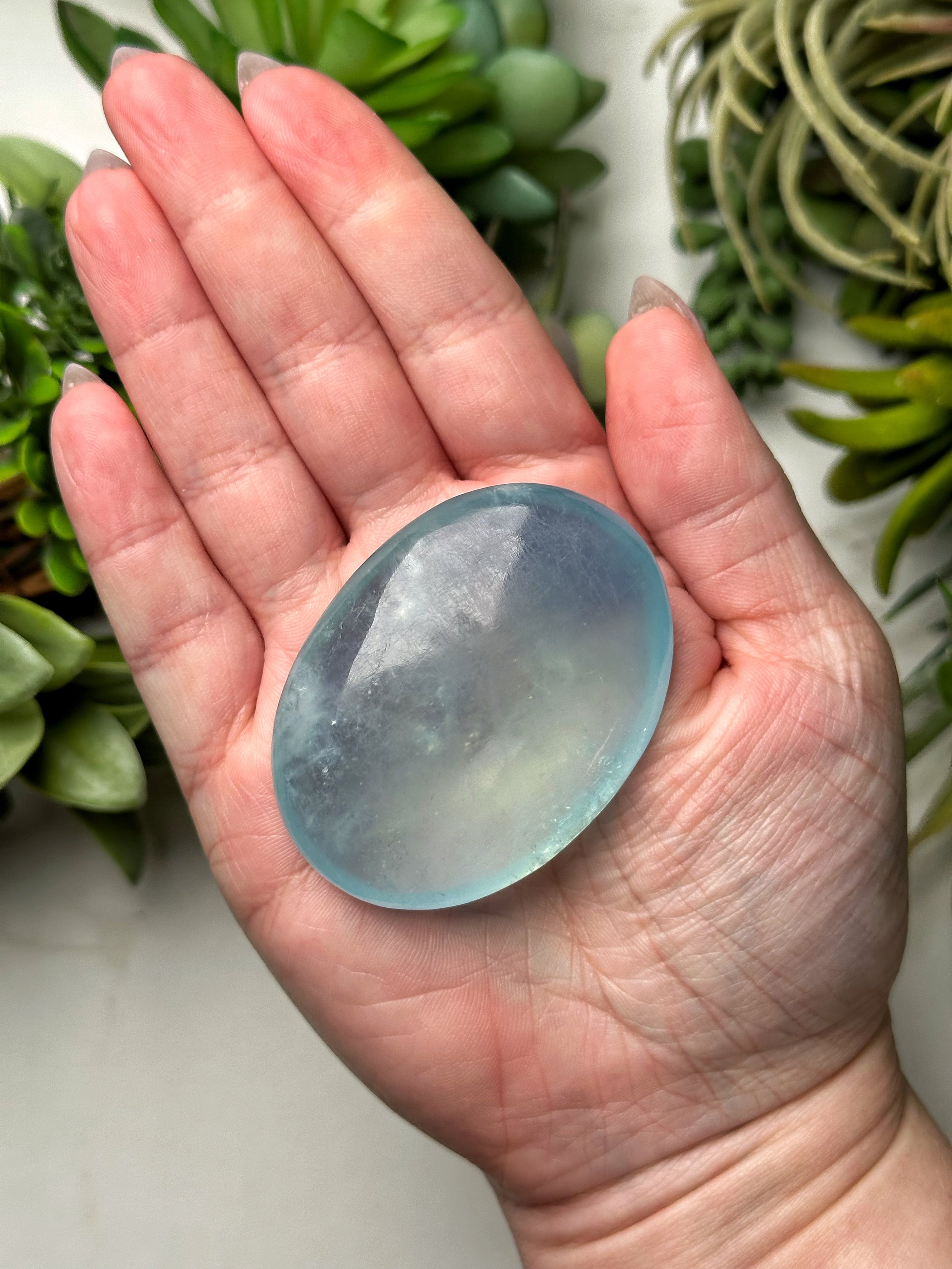 Aquamarine Palmstone - #5