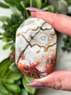 Crazy Lace Agate Palmstone - #12