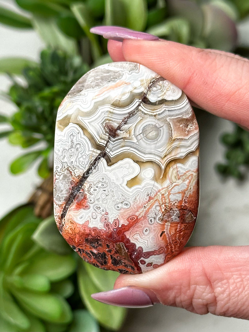 Crazy Lace Agate Palmstone - #12