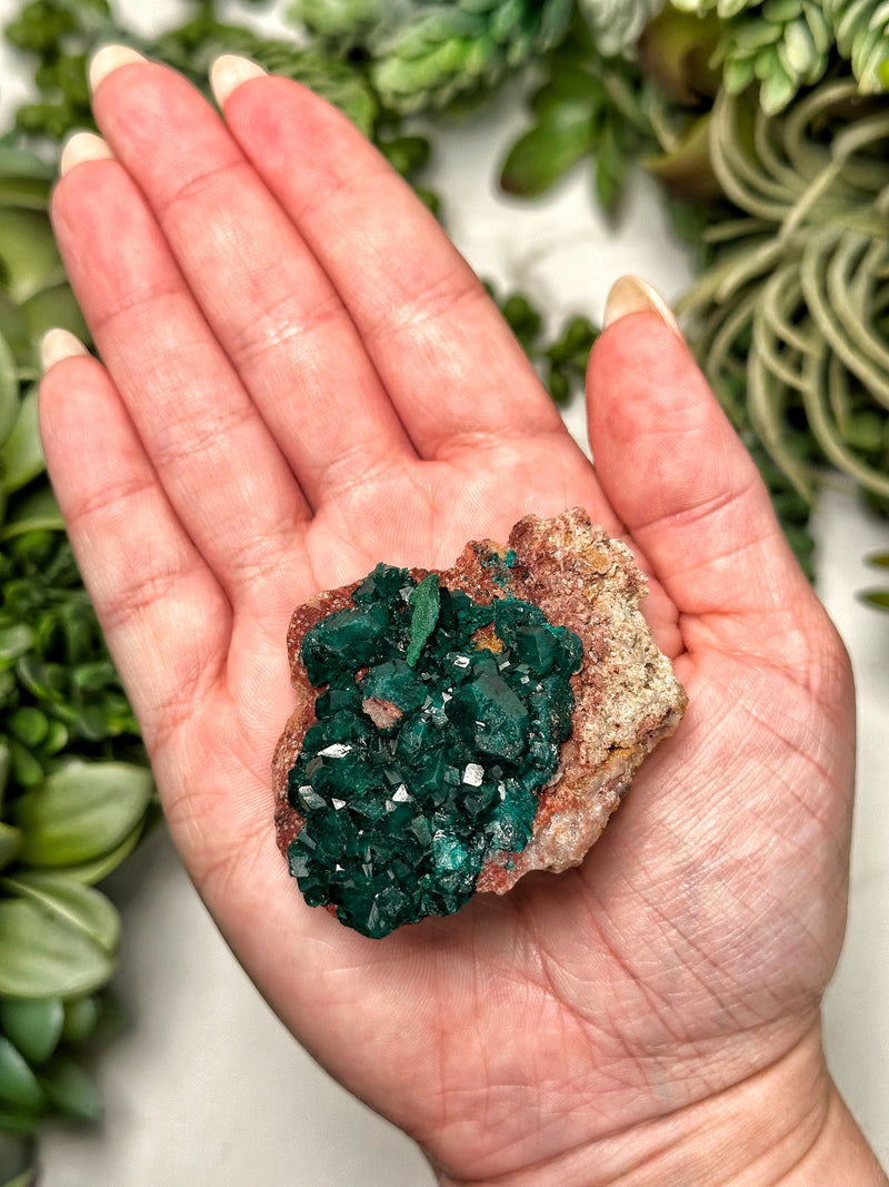 Raw Dioptase - #1