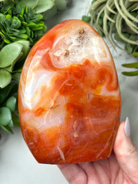 Carnelian Freeform - #12