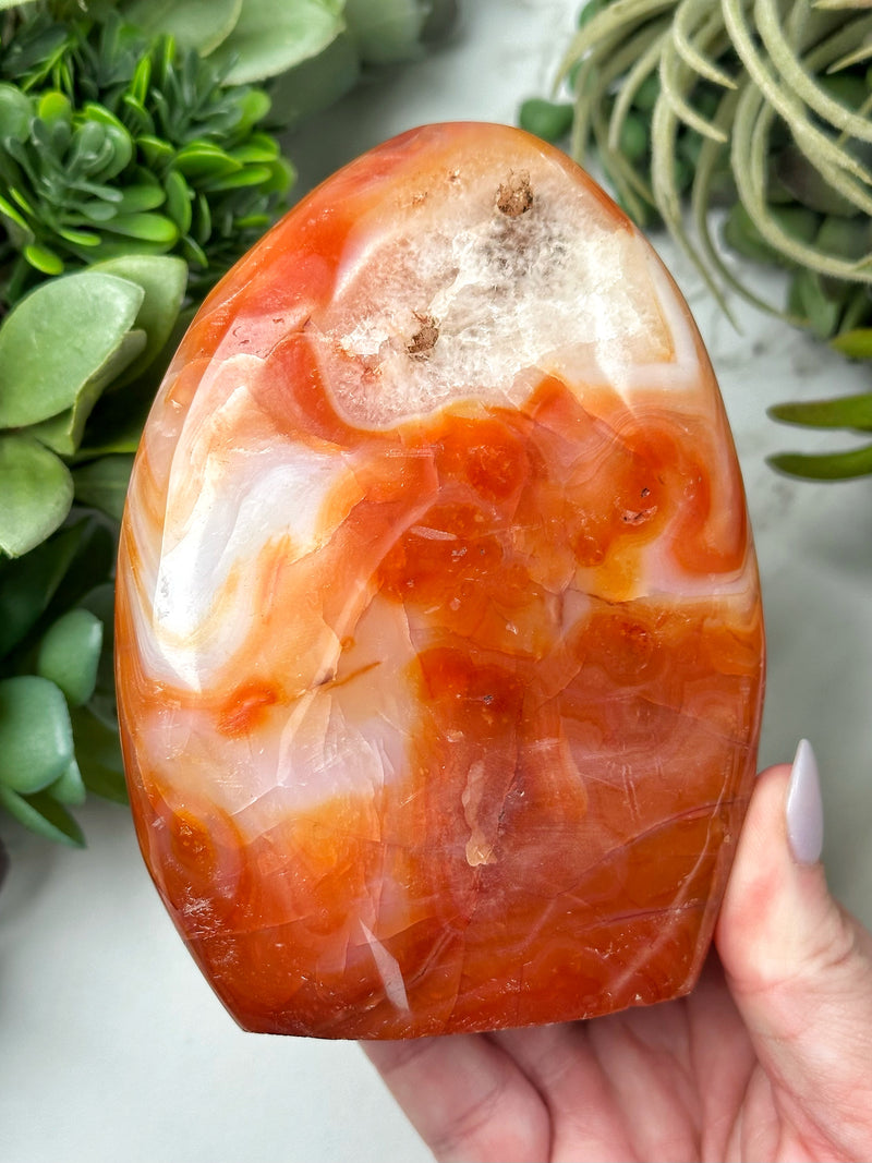 Carnelian Freeform - #12