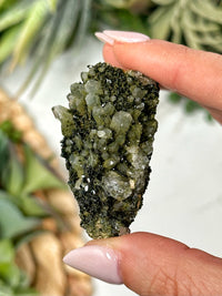 Raw Fairy Forrest Epidote on Quartz - #2