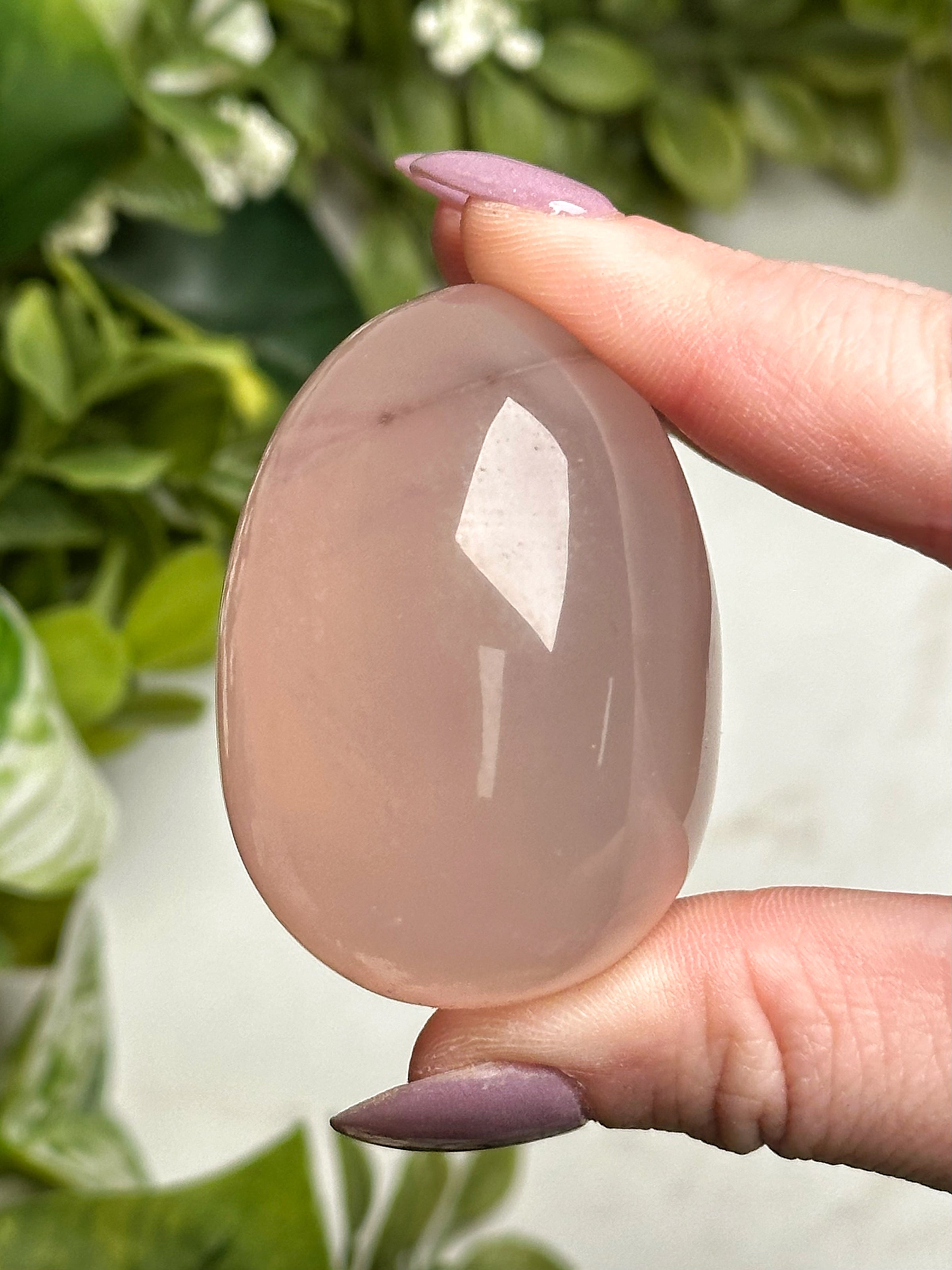 Star Rose Quartz Egg - #1