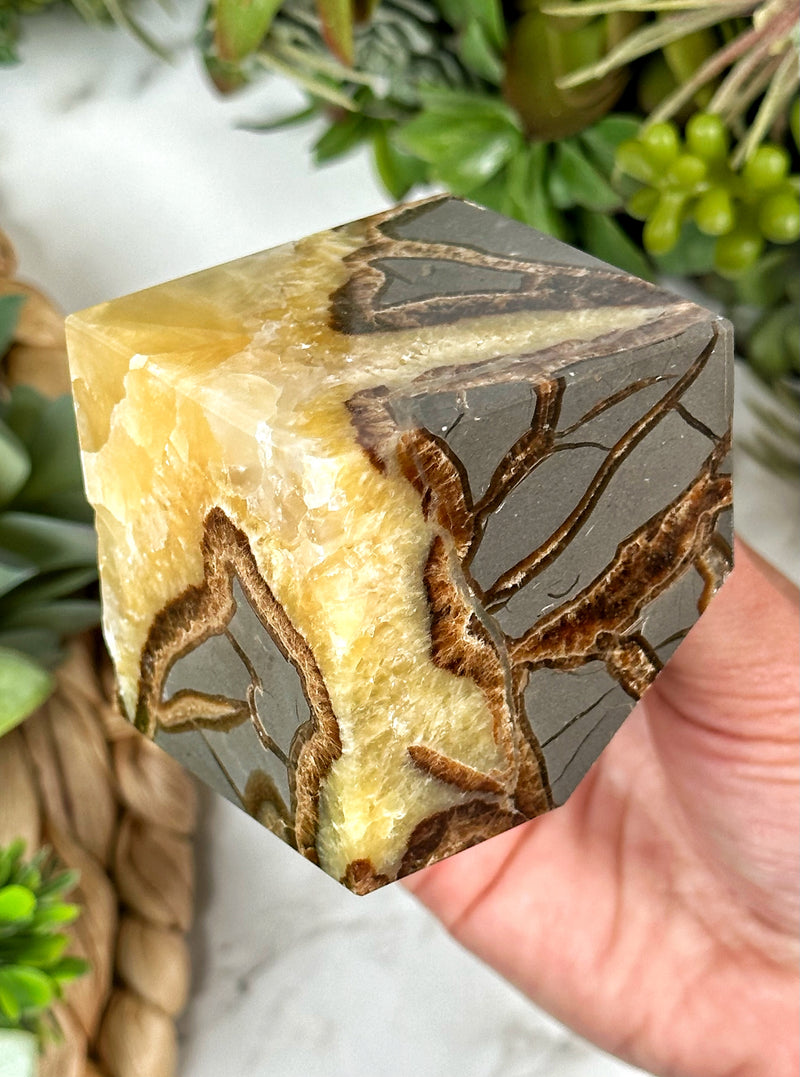 Septarian Cube - #1