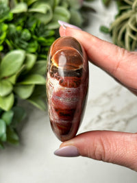 Petrified Wood Heart - #12