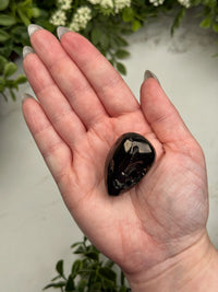 Elite Shungite Palmstone - #14
