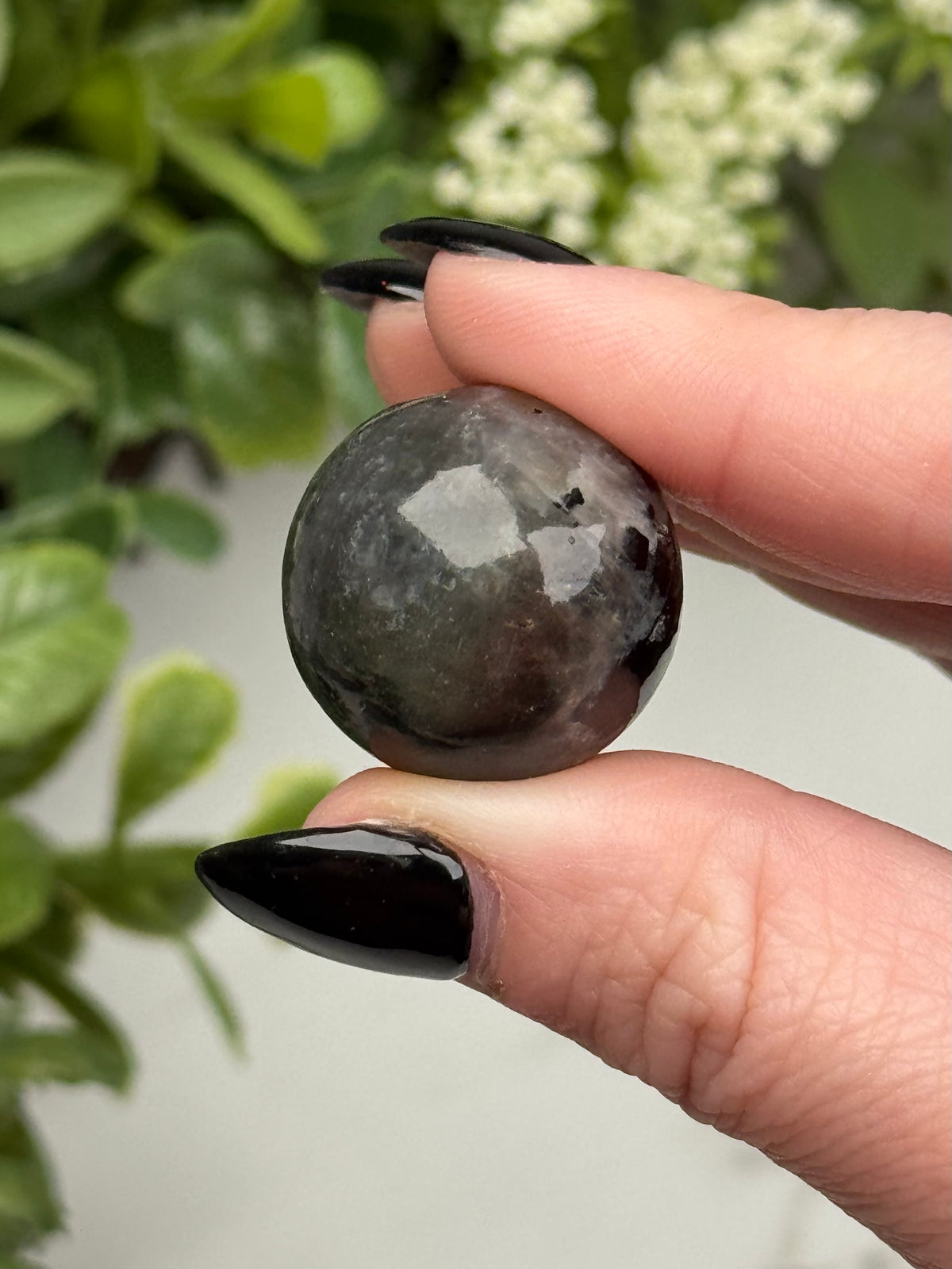 Black Moonstone with Sunstone Sphere - #6
