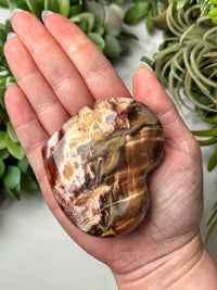 Petrified Wood Heart - #12