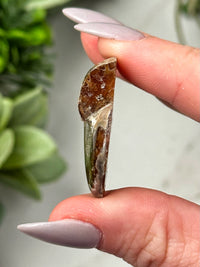 Moldavite Ammonite Inlay - #3
