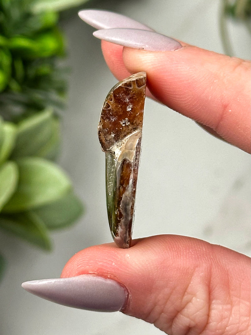 Moldavite Ammonite Inlay - #3