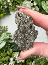 Raw Pyrite on Petrified Wood - #12