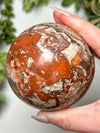 Money Agate Sphere - #6
