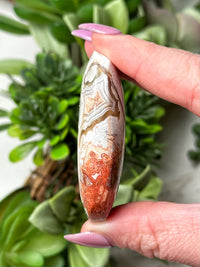 Crazy Lace Agate Palmstone - #12