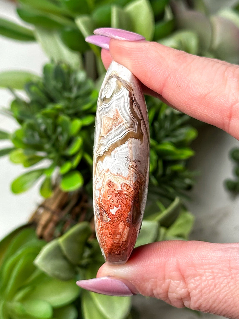 Crazy Lace Agate Palmstone - #12
