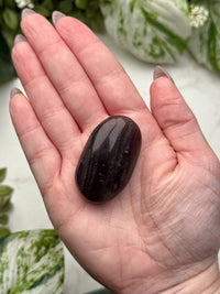 Fluorite with Pyrite Palmstone - #9