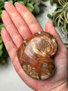 Petrified Wood Heart - #11