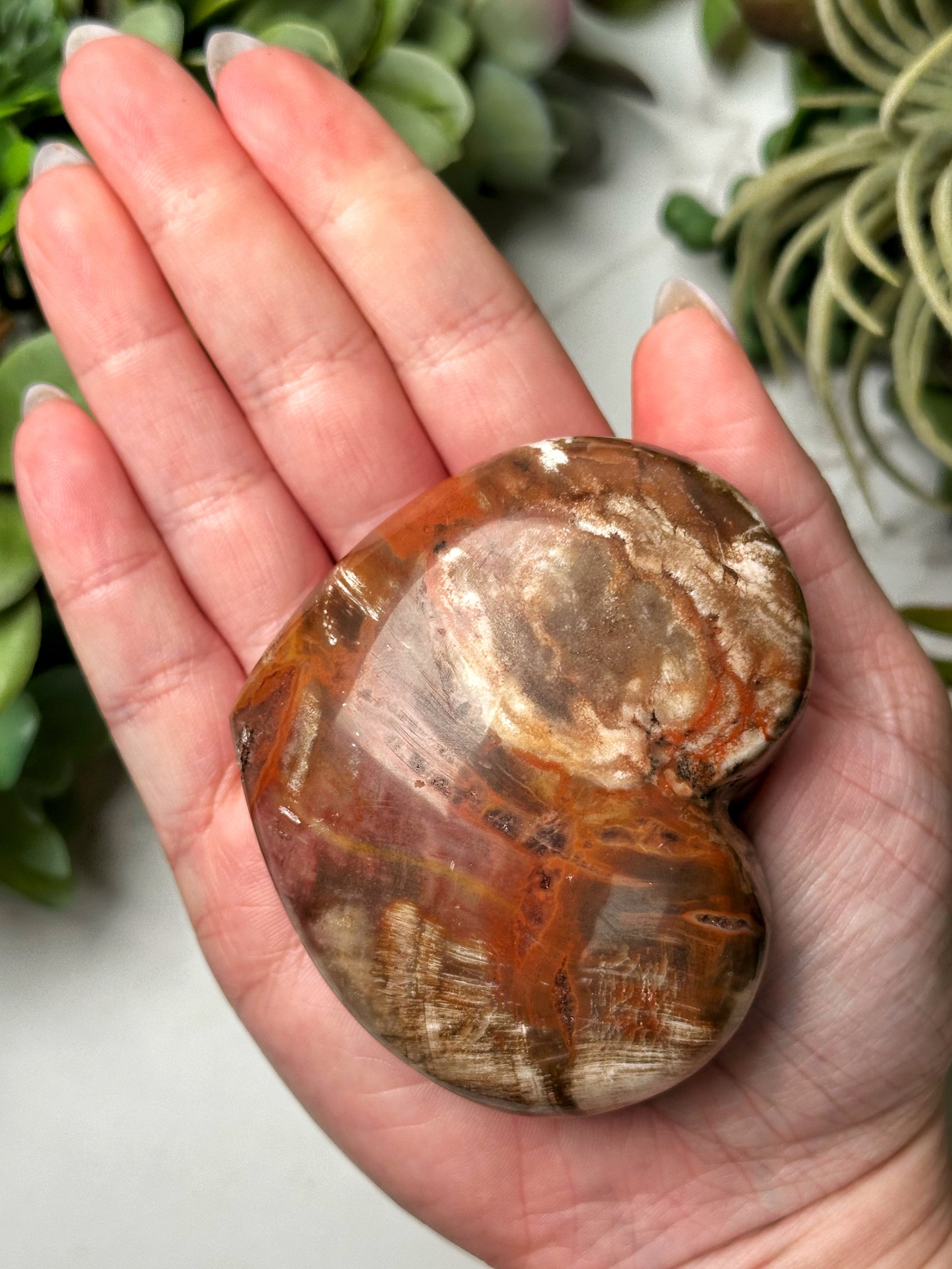Petrified Wood Heart - #11