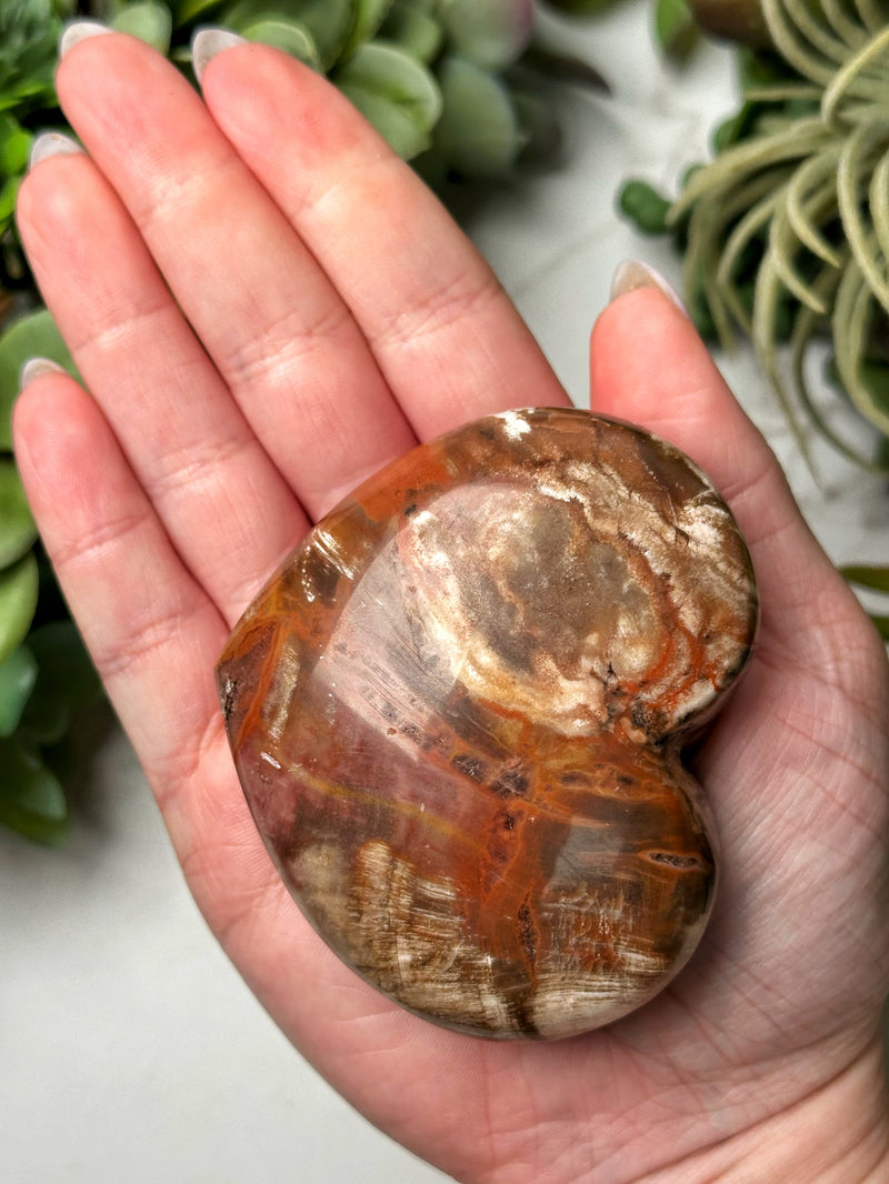 Petrified Wood Heart - #11