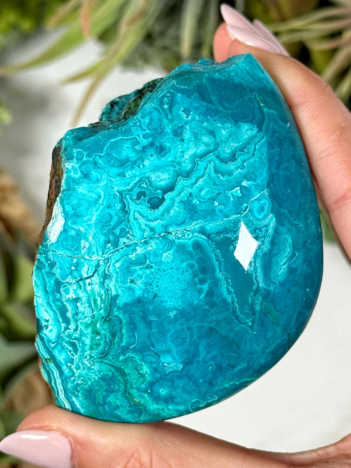 Chrysocolla Freeform - #1