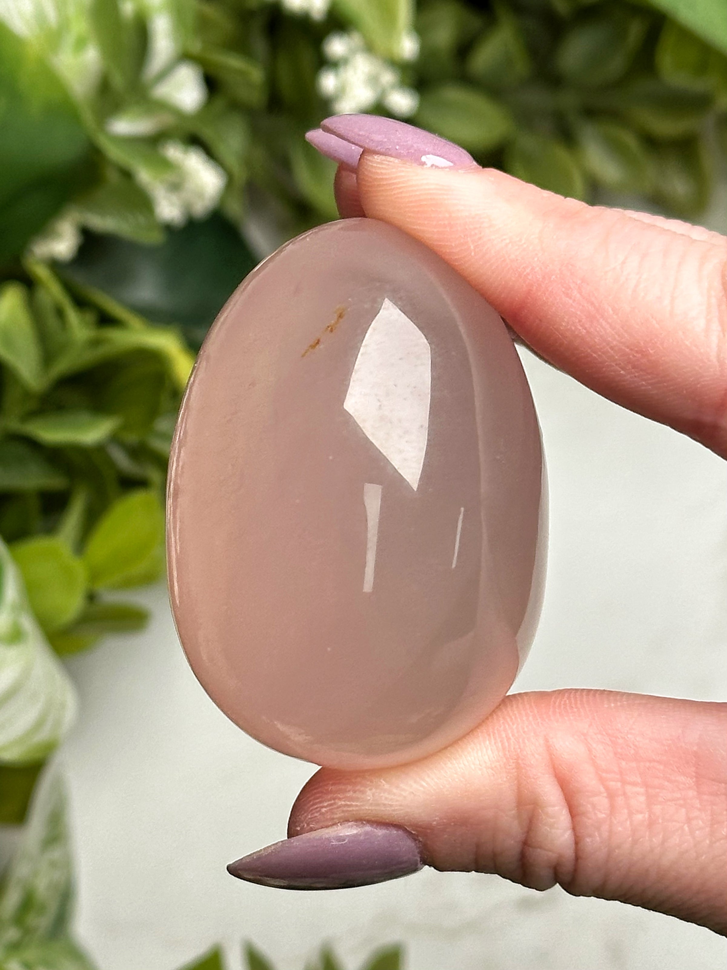 Star Rose Quartz Egg - #3