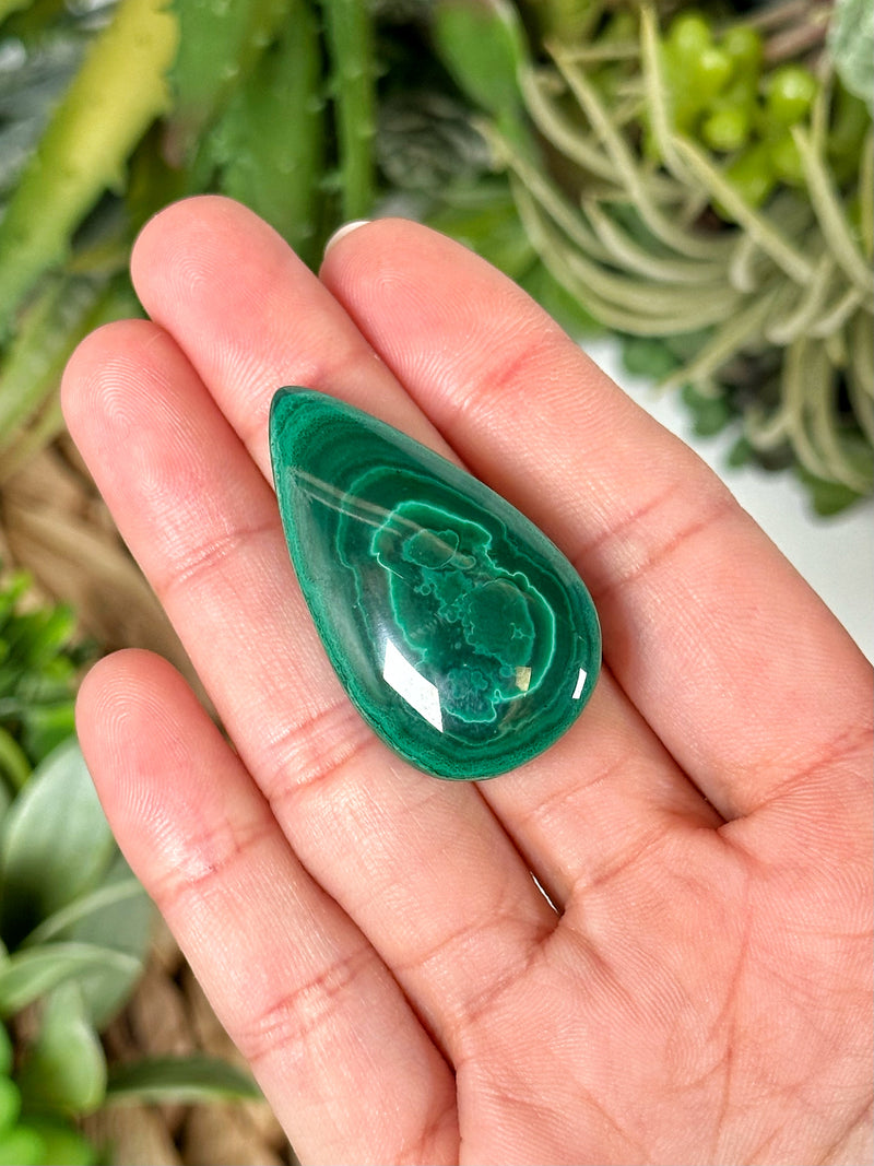 Malachite Teardrop Cabochon - #1