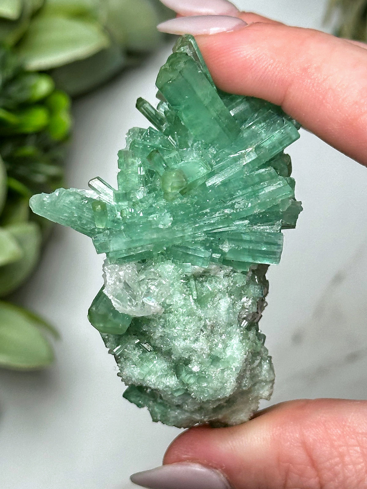Green Tourmaline with Kunzite - #6