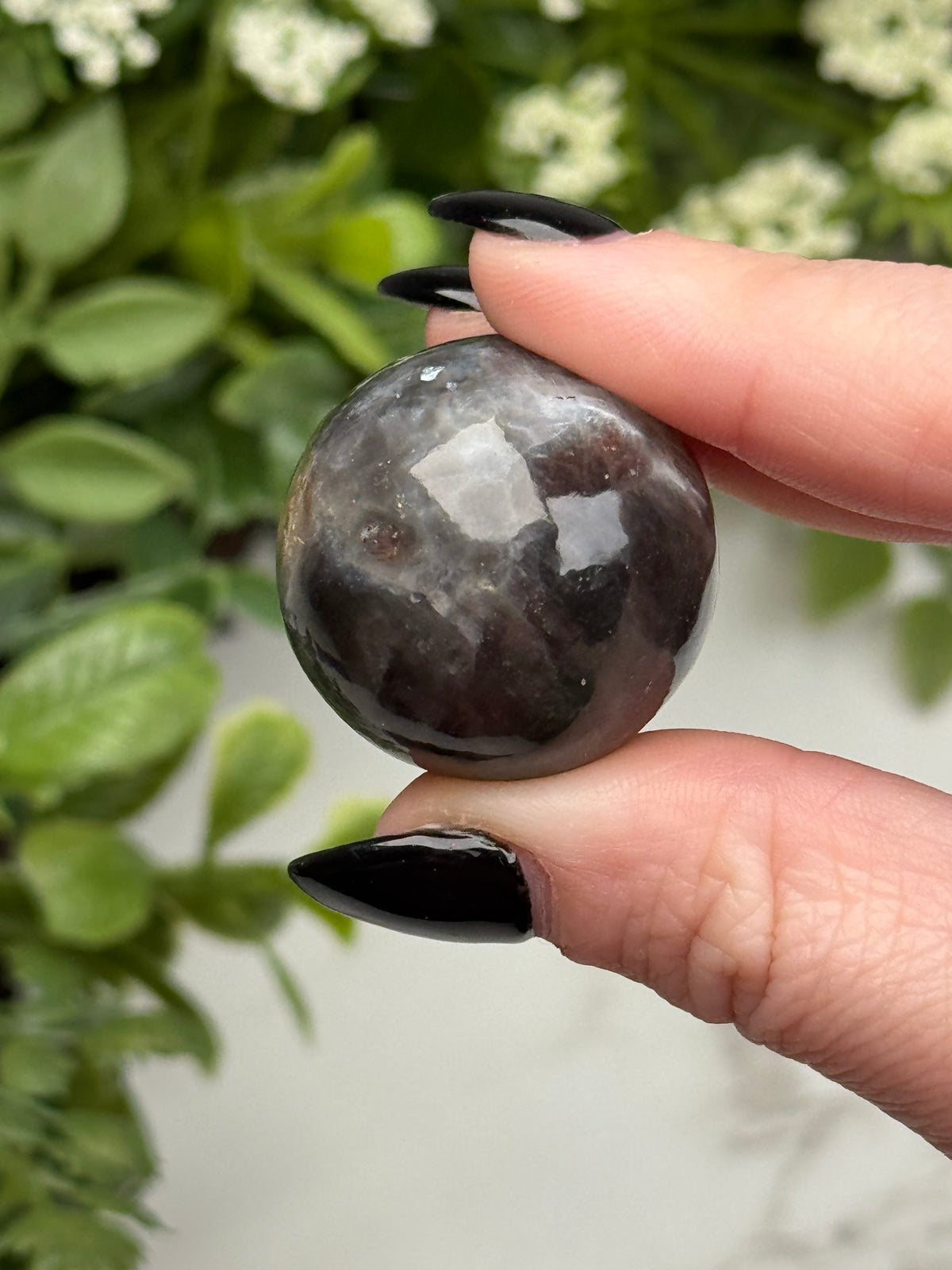 Black Moonstone with Sunstone Sphere - #4