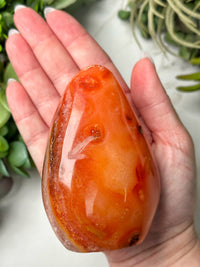 Carnelian Freeform - #17