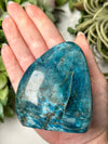 Blue Apatite Freeform - #11