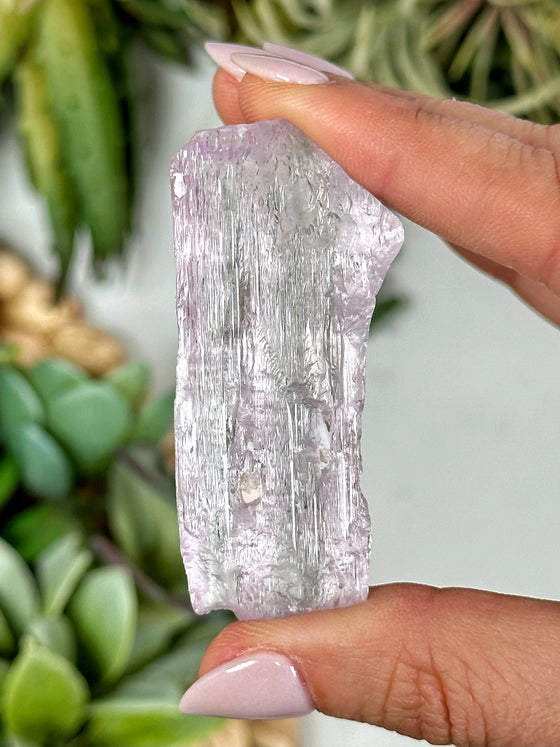 Gemmy Kunzite Specimen - #2