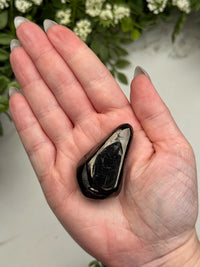 Elite Shungite Palmstone - #12